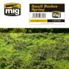 Small Spring Bushes