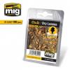 Oak Dry Leaves