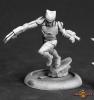 Shadow Talon, Super Hero